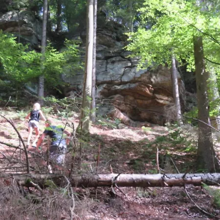 Tent In Near Forest * Nommern
