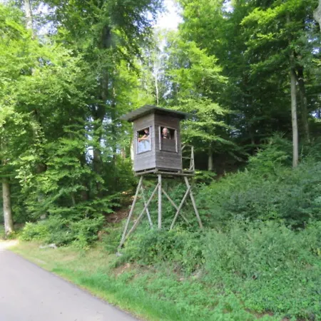 Luksusowy namiot Tent In A Park, Adjacent To The Forest, Luxembourg At 30 Km *