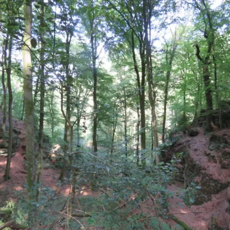 Tent In Near Forest Luksustelt