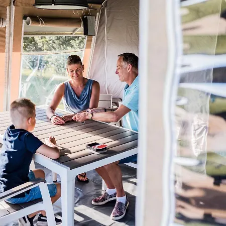 Tent In Near Forest *