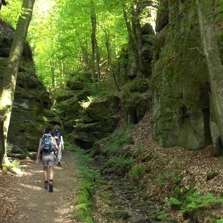 Tent In Near Forest *