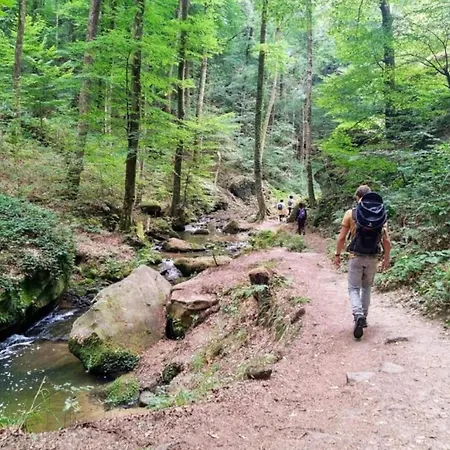 Luksustelt Tent In Near Forest Nommern